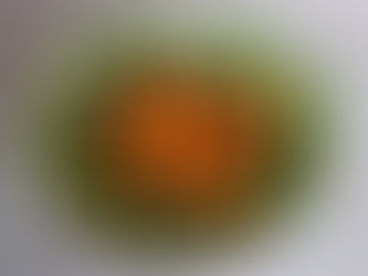 POLPETTE (BOULETTES)