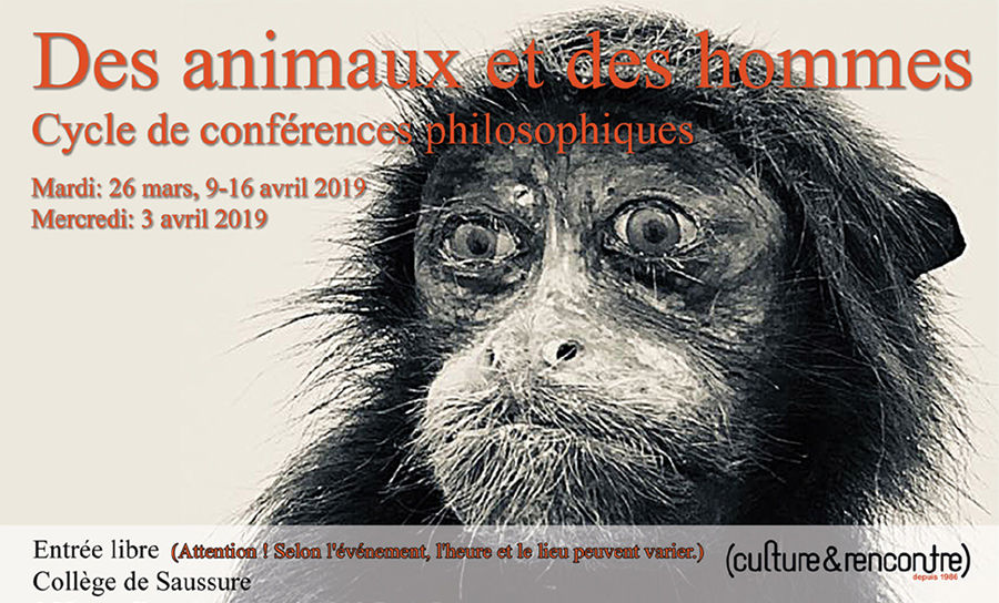 culture et rencontre saussure