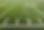Turf.jpg