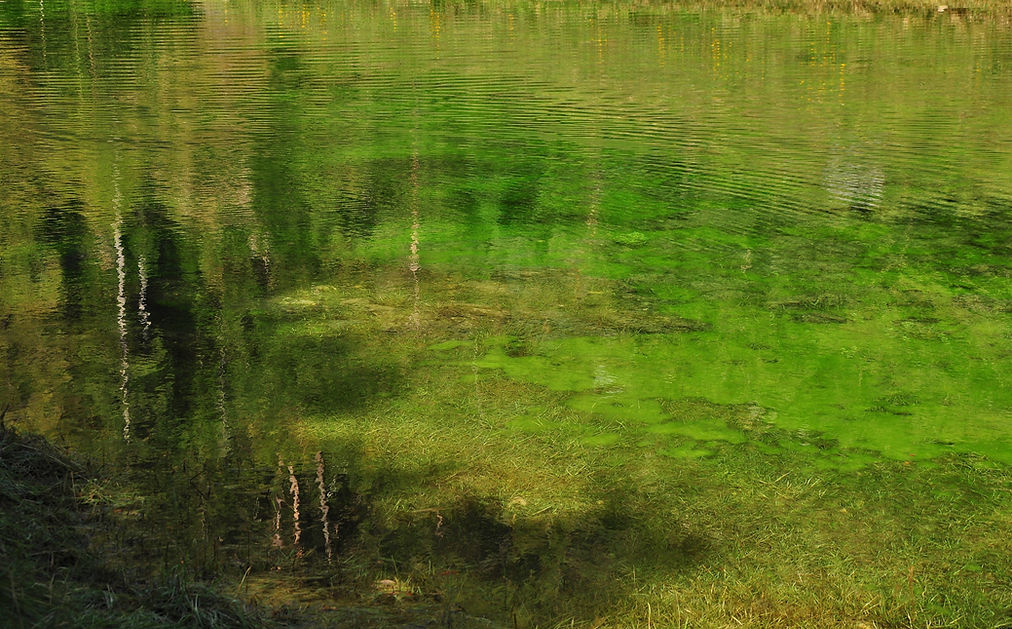 DSC_0390 - עותק.JPG