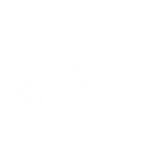 Smart Logo