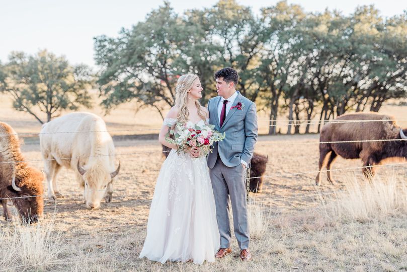 Wagon Springs Ranch photo