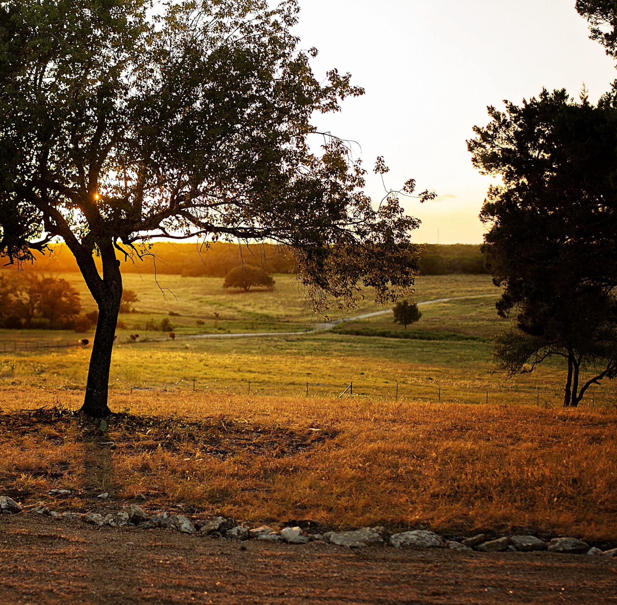 Wagon Springs Ranch photo