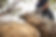closeup-lumberjack-with-chainsaw-forest.jpg