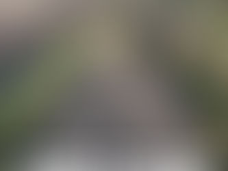 Moving some of our Dexter’s to join a herd grazing the last of the grass.