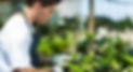plant-care