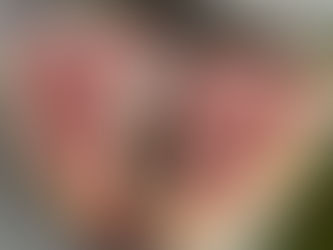 Nice pair of 100% grass fed Dexter T-Bones.