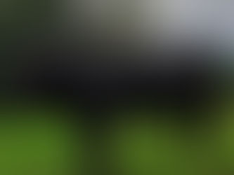 This is one of last years bulls calves,