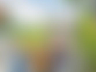 ホームステイ ~入学申し込みの際のポイント~