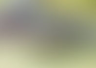 NCEAとは?ニュージーランドの高校留学で知っておきたい教育制度のポイント