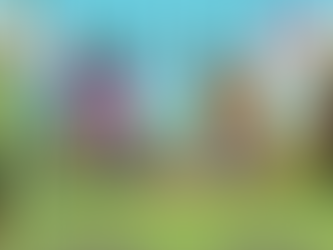 OGI Eyewear Unveils Bold & Expressive Summer 2025 Collection 