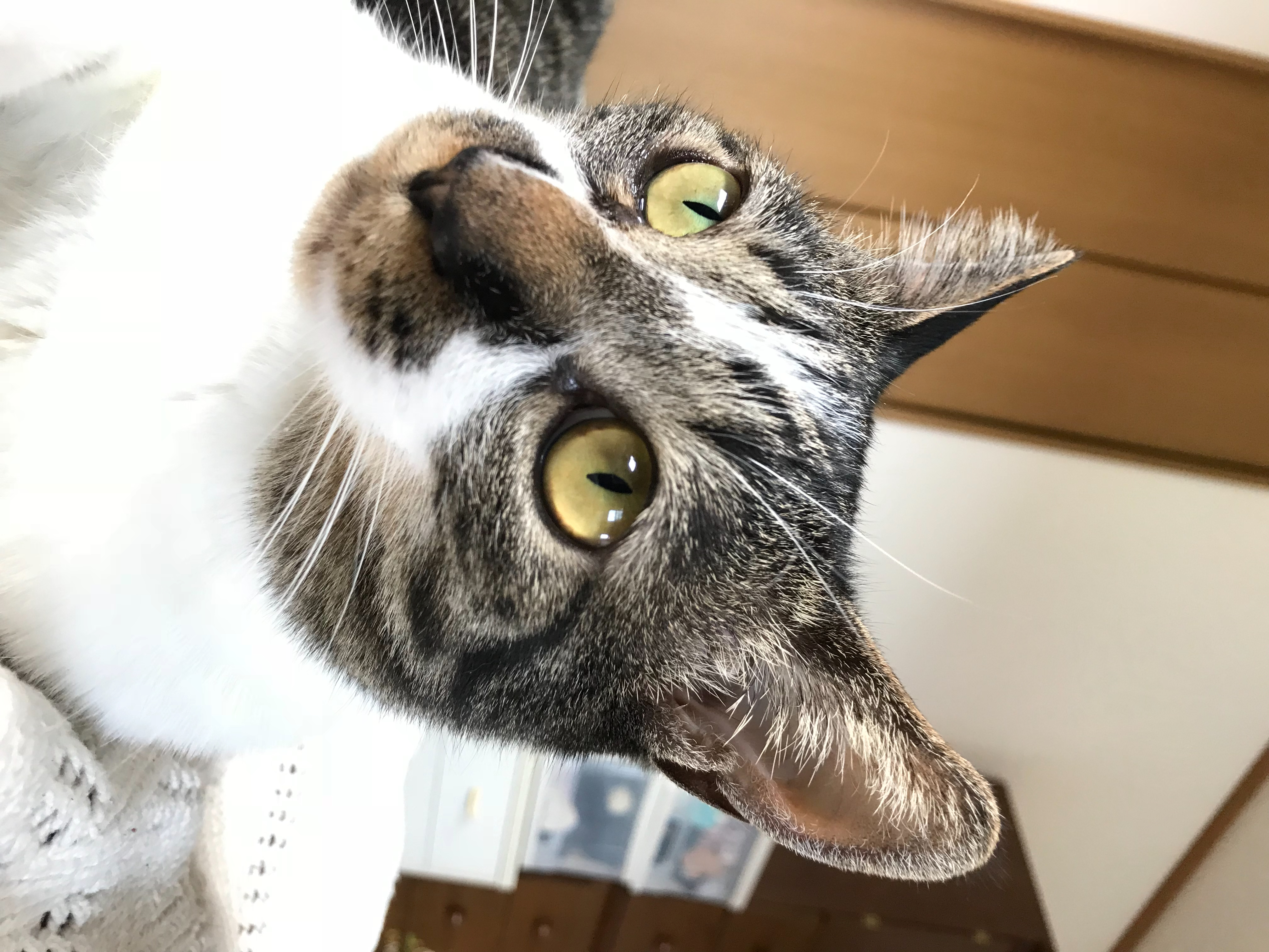 執筆者の写真: Mikio Masuda