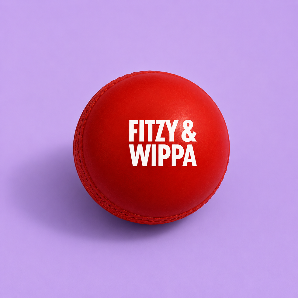 Rubber Cricket Balls (3).png