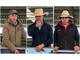 2026 ALPA Vic & SA Young Auctioneer Competition