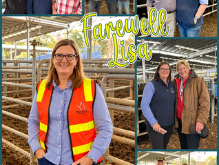 Thank you and farewell to Lisa Elward