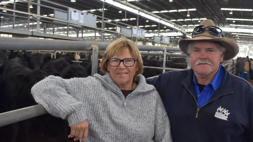 Bruce and Debra McCormack, Merrijig, turned off 118 steers and heifers at Yea - their annual spring-drop draft.