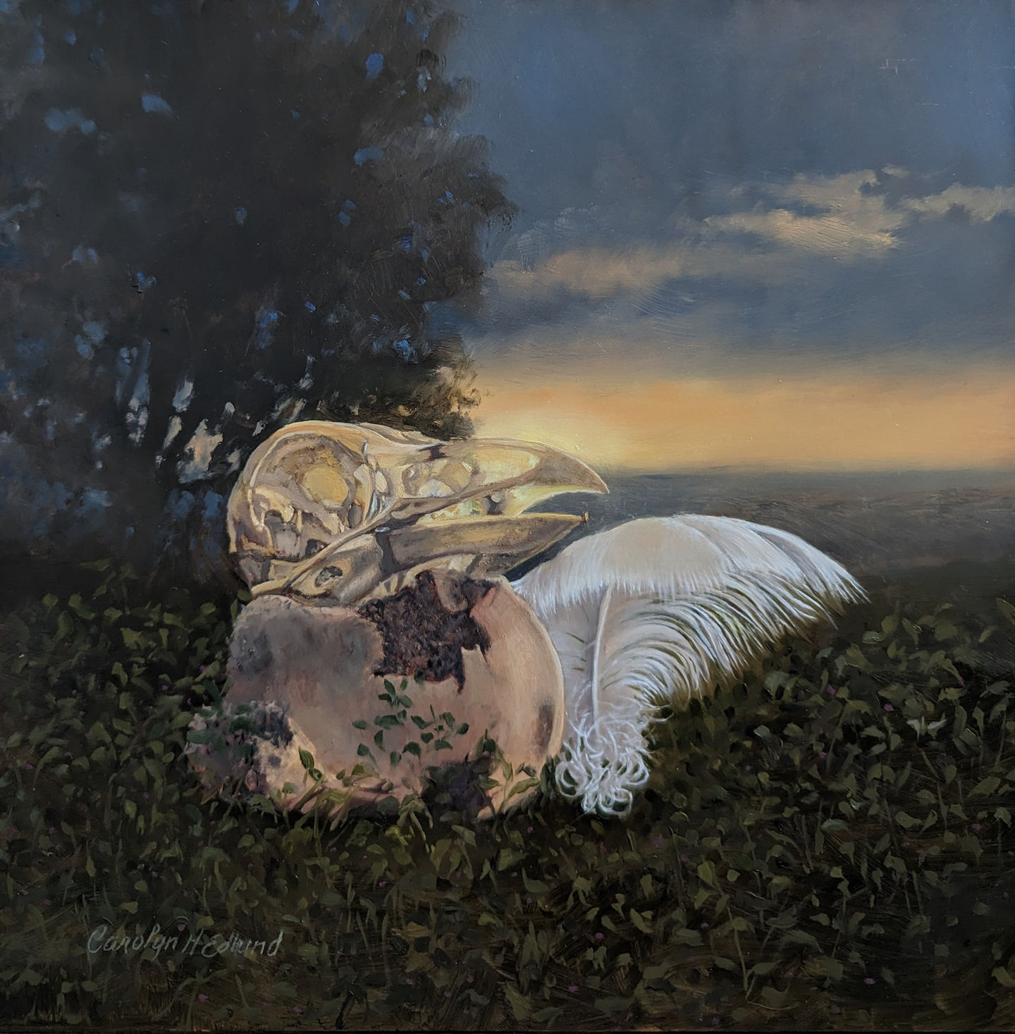 Back of Beyond