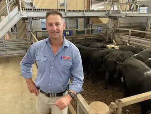 Store market price correction ripples through Yea, as producers hang back