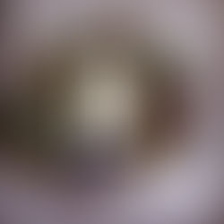 Spells Trouble by P. C. Cast; Kristin Cast St. Martin's Press