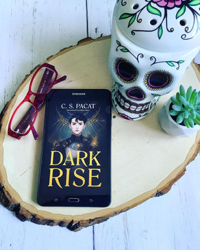 📚 Dark Rise (Dark Rise #1) by C.S. Pacat