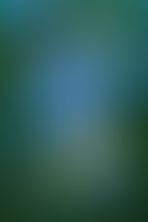 📚𝒯𝒾𝓉𝓁𝑒: To Sir Phillip, With Love ( Book #5 )