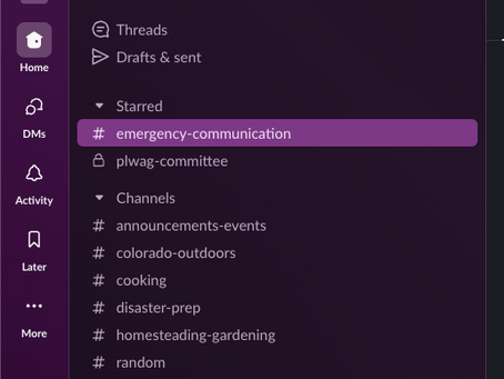 Communication is Key: Why Slack & GMRS Radios are Essential for Pinewood Lake