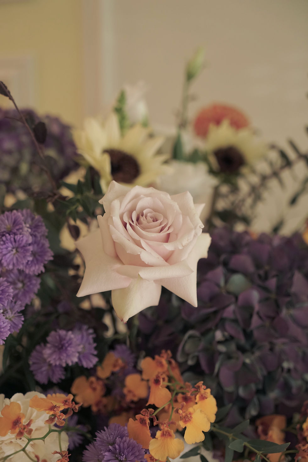 縮圖：Lavender Waltz 薰衣草圓舞