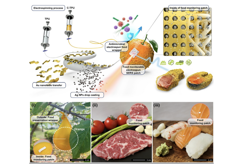 Lab Wraper SERS Sensor Integrated in Stretchable and Antimicrobial Wrapper for ...