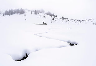 _DSC5885.jpg