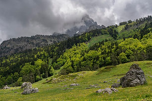 _DSC5116.jpg