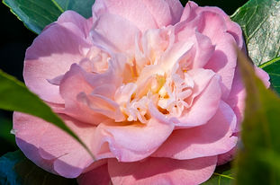 _DSC8074-ARW_DxO_PRIME.jpg