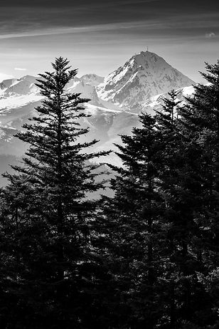 _DSC8672.jpg