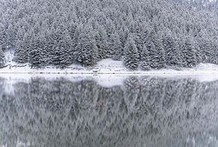 DSC02710-ARW_DxO_DeepPRIME.jpg