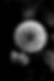 11062b_80b5aaf839a24af0888442d4bad2cca5~mv2_edited.jpg