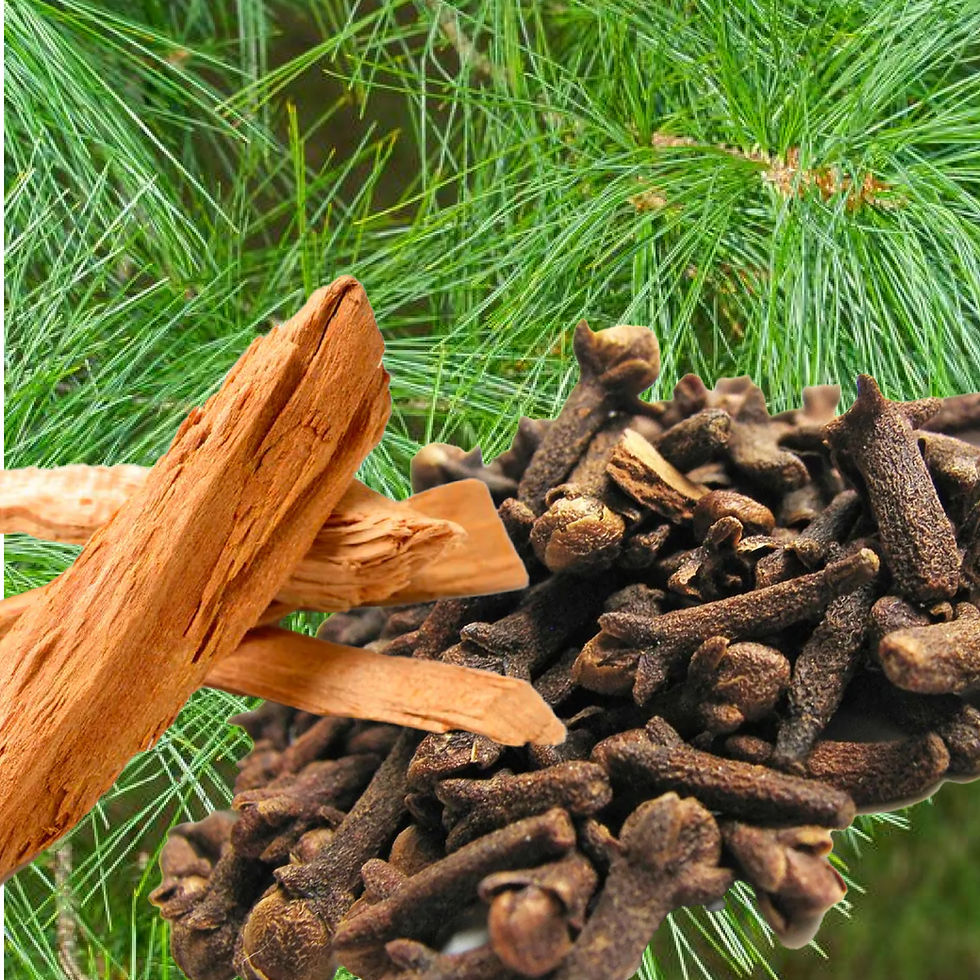 dišave za savne in wellness