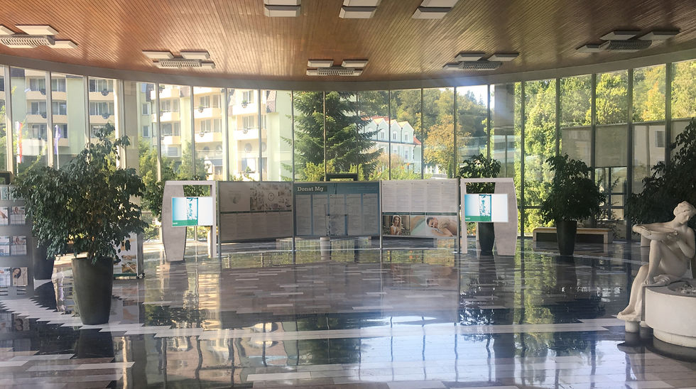 Explore Ollo Studio's exhibition display design for Medical Centre Rogaška Slatina, where sculptural stone display stands inspired by Donat MG integrate seamlessly into the existing architectural experience.