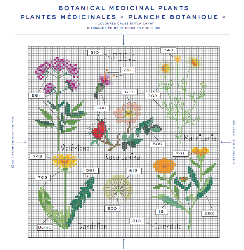 Miniature : Kit broderie - Botanique au point de croix - #1