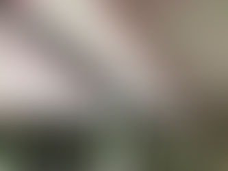 Getting ready to install furnaces!