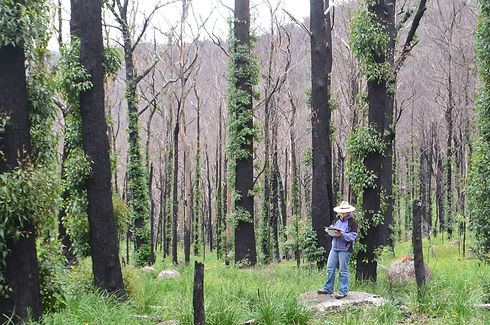 Ecological surveys.JPG