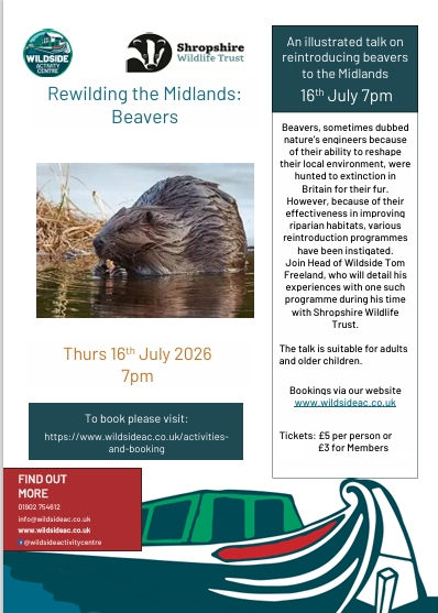 Rewilding The Midlands: Beavers