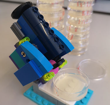 Lego microscope.jpg