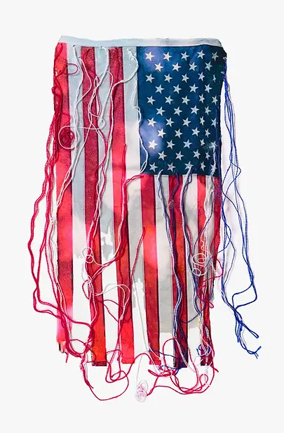 “We the People” are the opening words of the United States Constitution's Preamble, which outlines the Constitution's goals and justification. The phrase affirms that the US government serves its citizens, and that the people are the ultimate source of the government's power. The Preamble's 52 words describe the ideal of what the government can be and do. The Preamble's goals include:
Forming a more perfect union | Establishing justice | Ensuring domestic tranquility | Providing for common defense | Promoting general welfare | Securing liberty for present and future generations.
Studio Montclair invited artists to submit work that illustrates our fellow citizens in the process of living their lives and participating in the 250-year-old experiment in democracy that is the United States of America. Artists were encouraged to think out of the box when choosing what aspect of the above goals they depicted.