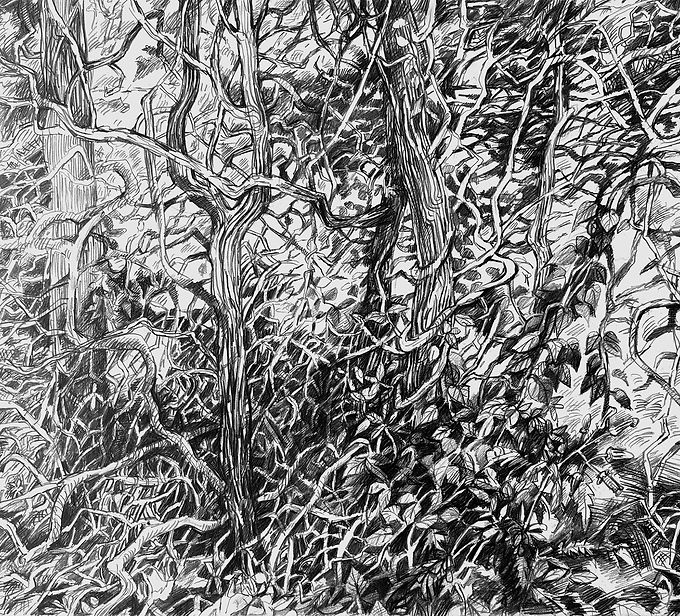 A new series of paintings and drawings inspired by the small, overlooked things around us by New Jersey artist Tatyana Kazakova.
Curated by PE Pinkman.