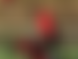 UNE DÉFAITE, DES ENSEIGNEMENTS