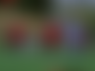 L'ESTUDIANTES PASSE LA DEUXIÈME 