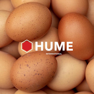 Government assurances needed for egg importers to step up to the plate