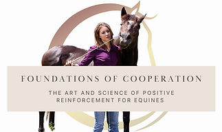 Copy of Horsemanship for Harmony Graphics (1).png