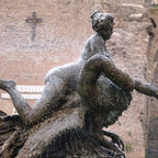 Tours & Experiences