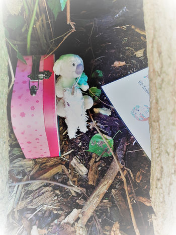 Such das Einhorn - Schnitzeljagd