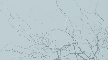 Untitled design (1).png